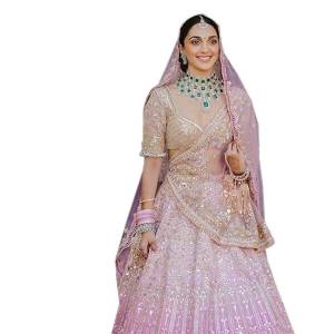 Sequin Embroidery Bridal Lehenga Choli